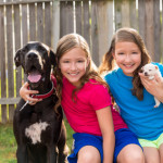 gartenzaun fuer hunde