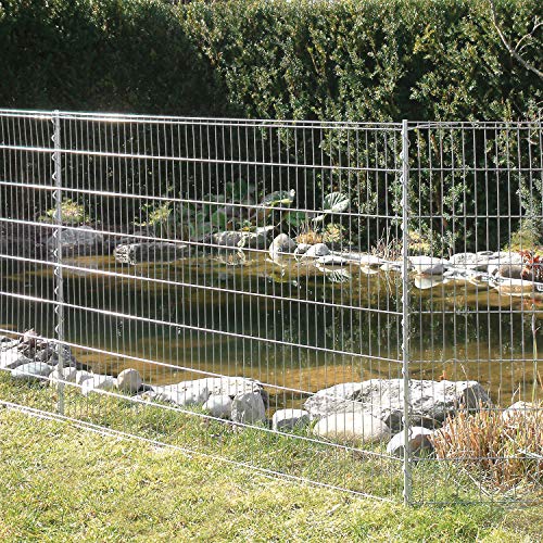 Der Gartenzaun als Hunde Zaun Tipps bei HundezaunGuide