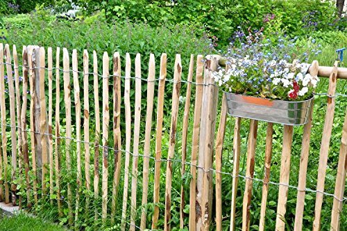 Der Gartenzaun als Hunde Zaun Tipps bei HundezaunGuide