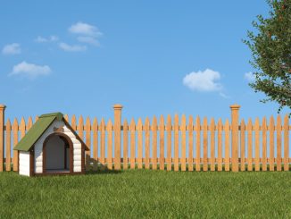 Hundezaun und Gartenzaun