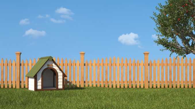 Hundezaun und Gartenzaun Hundezaun und Gartenzaun