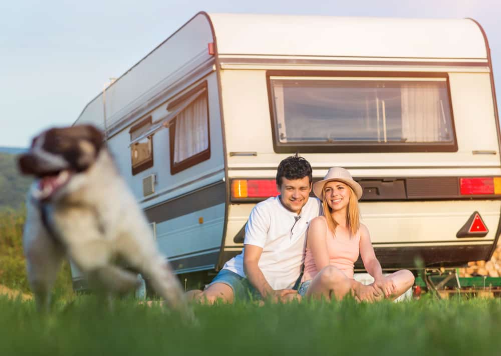 Hundezaun für Camping mit Hund