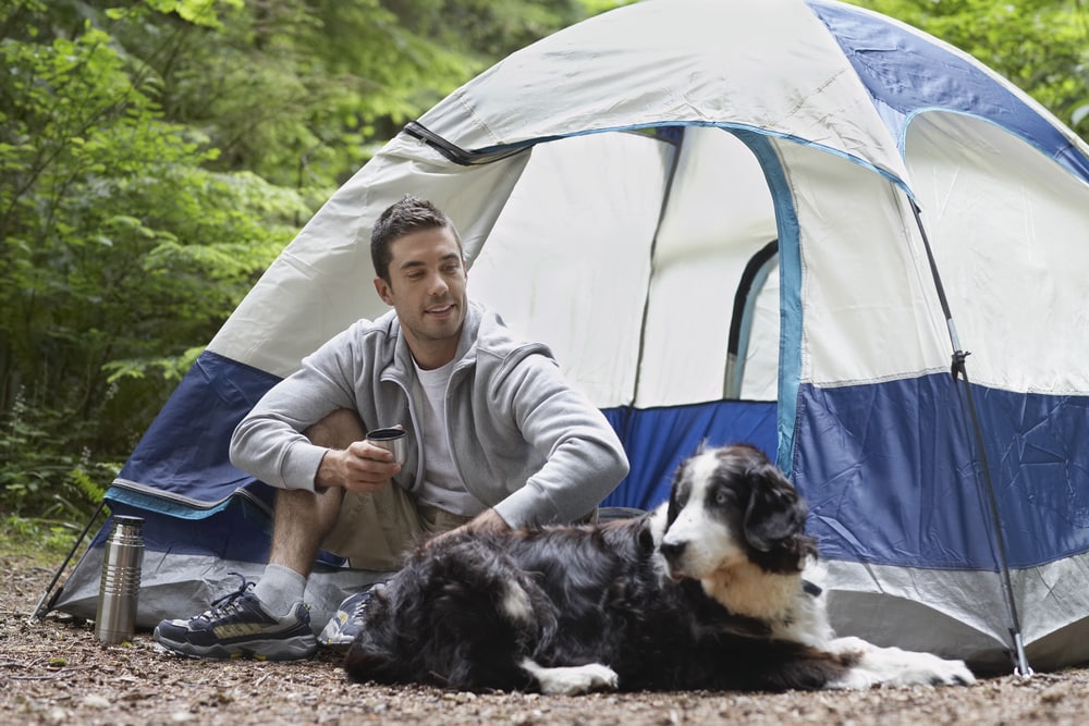 Hundezaun für Camping und Wohnmobil