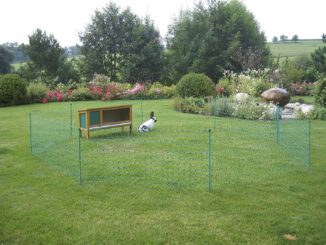 Hundegitter Wohnung Your GEAR Larino Door - Mobile  Produktbild-Vorschau 3