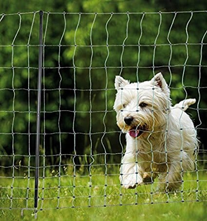 mobiler Hundezaun fürs Campen mit großem Hund