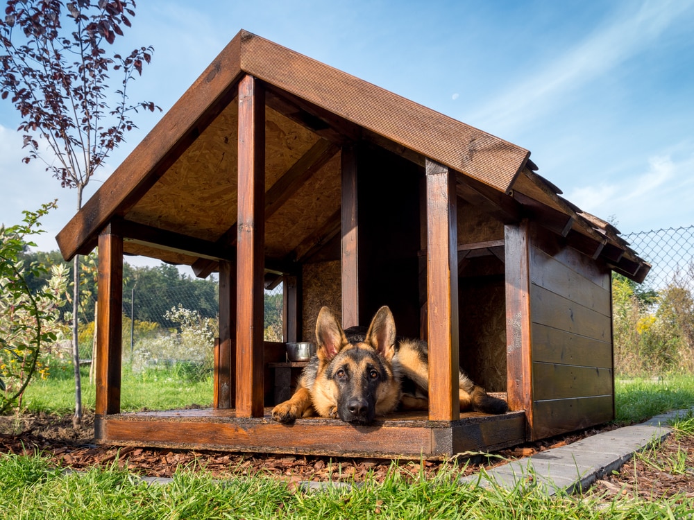 Ruheplatz im Garten - die Hundehütte