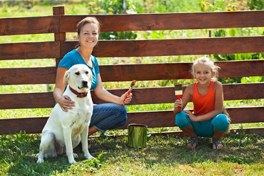 Hunde Gartenzaun